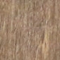 Graphit