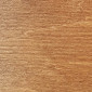 Teak